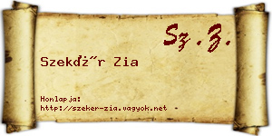 Szekér Zia névjegykártya